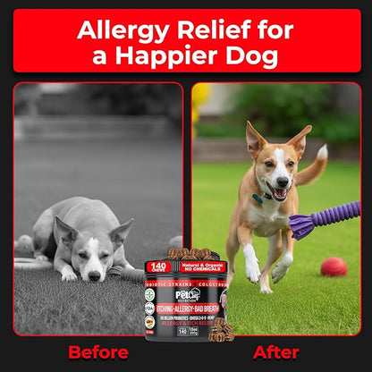 Pet Chef Dog Allergy Chews 140 Soft Chews with Salmon Oil, Omega 3 & Probiotics Natural Supplement for Itch Relief, Immune Support & Healthy Skin & Coat (Peanut Butter)
