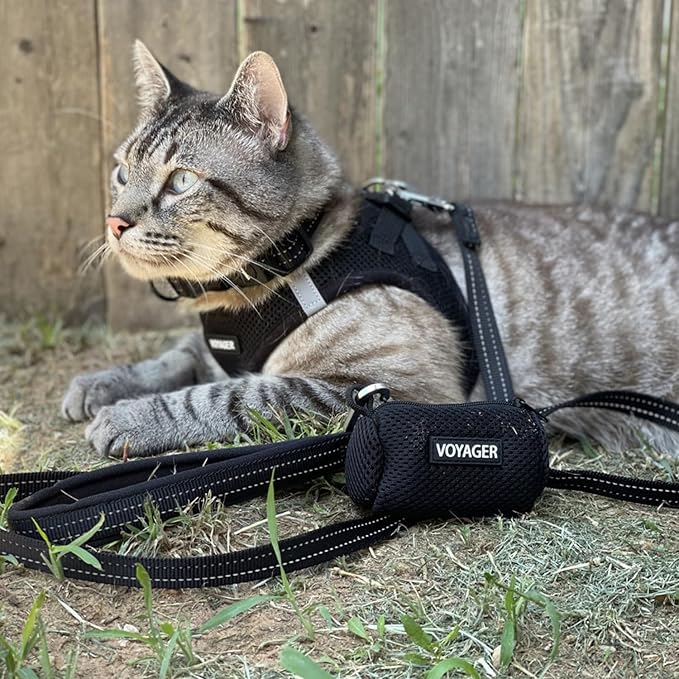 Voyager Step-in Pet Harness - All Weather Mesh, Adjustable Step in Harness for Cats and Dogs by Best Pet Supplies - 307S Black, XS