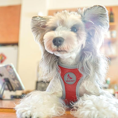 Kruz Dog Harness (Chest 13.5"-14", Weight 4–6 lbs) Athletica Adjustable Heavy Duty No Choke Puppy Vest for Small Dogs Lightweight Air Mesh, Reflective, Puppy Essentials – Red, X-Small