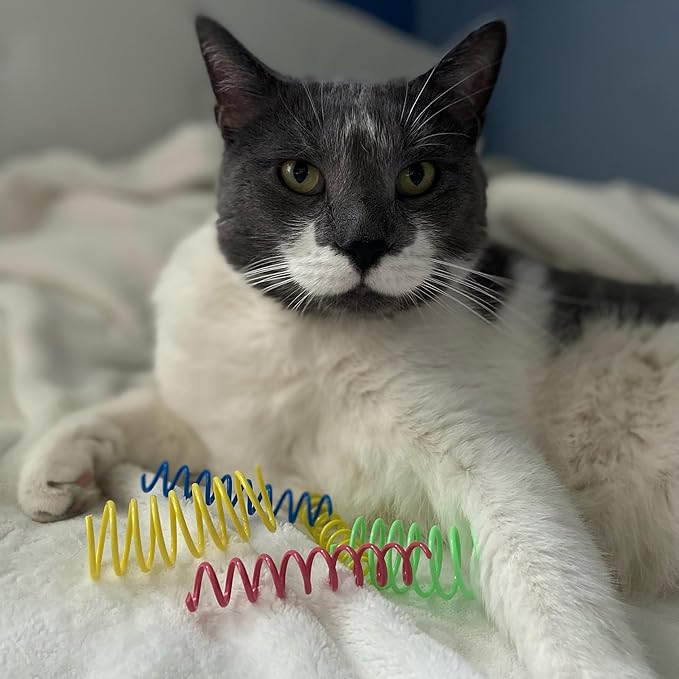 SPOT Colorful Cat Spring Toys – 2" Bouncy Coils for Indoor Cats & Kittens to Swat, Chase, Bite – Interactive Enrichment Toys, Safe Plastic, 10-Pack, Multi-Color