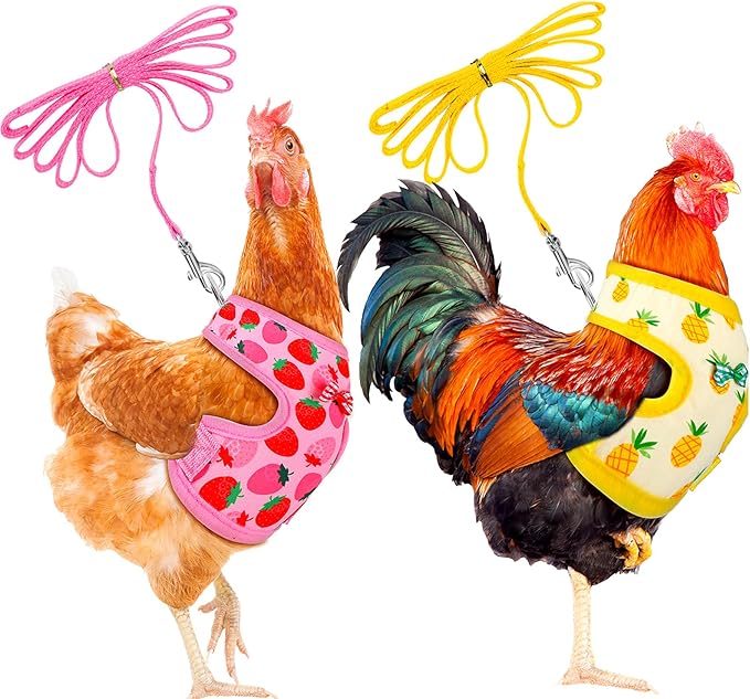 Frienda 2 Pcs Adjustable Chicken Harness and Leash Set Spring Summer Comfortable Elastic Hen Vest Breathable Harness for Hens Duck Goose Pet Training Walking Supplies(Pineapple, Strawberry,Medium)