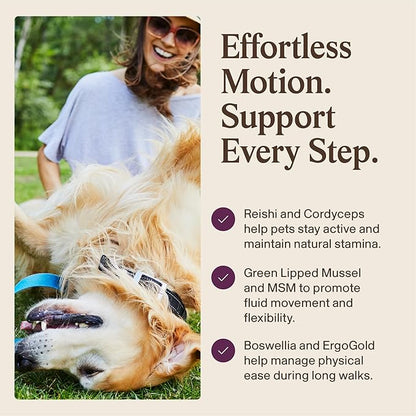 Real Mushrooms Mobility Chews for Dogs & Cats – Green Lipped Mussel & ErgoGold Mushroom Blend – Dogs & Cat Vitamins Treats for Active Routines – Joint, Hip & Flexibility Support – 240 ct Supplement