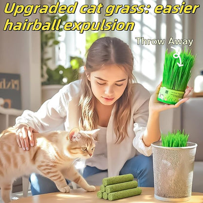 100g/3.5oz Cat Grass Teething Stick Cats Toy Chew for Removal Hairball Lickable Kitten Treat Catnip Snack for Indoor Edible Freeze Dried Kitty Food for Dental Care Health Elimate Hairball