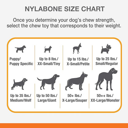 Nylabone Oval Ring Flexi Chew Toy for Dogs, Flexible Dog Toys for Moderate & Gentle Chewers, Chicken Flavor, Medium - Up to 35 lbs, 1 Count
