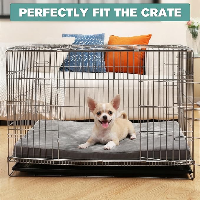 Waterproof Small Dog Bed Crate Pad 24 inch, Outdoor Washable Puppy Bed Orthopedic with Removable Cover Reversible, Foam Cat Bed Kennel Pad 23" x17, Durable Anti-Slip Bottom, Gray