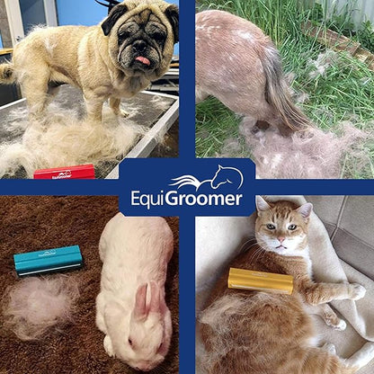 EasyGroomer Deshedding Brush for Dogs & Cats – Undercoat Grooming Tool for Short & Long Hair, Removes Loose Fur & Dirt, Reduces Shedding for Small & Large Pets, Turquoise