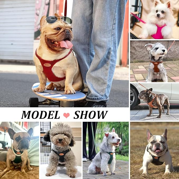 Beirui ‌Stylish PU Leather Dog Harness‌ and Leash Set for Small Dogs, ‌Adjustable Step in Dog Vest Harness with Breathable Mesh Lining and Durable Metal Buckle for Walking Traveling(Hot Pink,M)