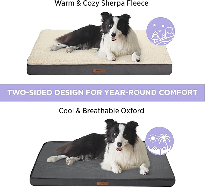 LE SURE Washable Dog Bed Cover Replacement - Large Size Plush Fleece Cover for Orthopedic Egg Crate Foam Pet Mat 36x27x3 Inches, Grey