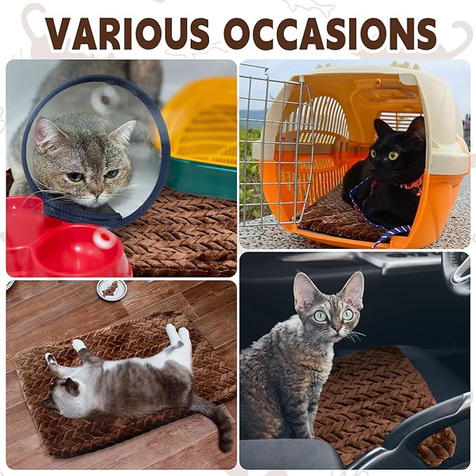 Drydiet 4 Pack Self Warming Cat Bed Mat Self Heating Pad for Dog Extra Warm Winter Pet Pad Washable Thermal Pads Mats for Pets Indoor Outdoor(Dark Coffee,16 x 20 Inch)