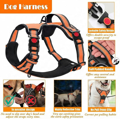 LOBEVE No Pull Dog Harness, Collar & Leash Set | Includes Dog Seat Belt, Collapsible Bowls & Poop Bag Dispenser. Ideal for Training, Walking, Hiking. Fits Small to Large Dogs(Orange-L)