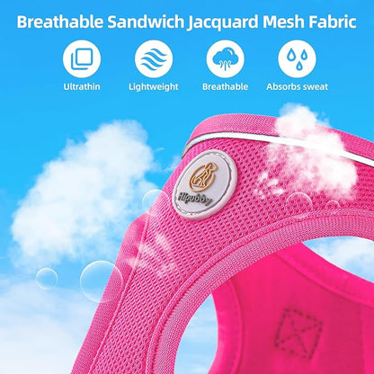 Hipubby Dog Harness and Leash Set, No Pull Soft Mesh Puppy Harness for Small Medium Dogs, Cats - Step in Reflective Breathable Lightweight Vest Harness for Walking, Training - Rose Red, XXS