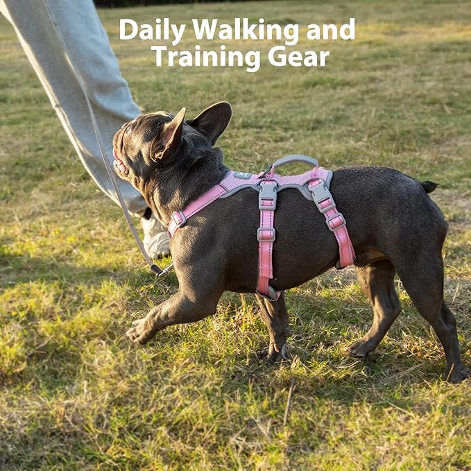 Huntboo Escape Proof Dog Harness, No Pull Reflective Harness with Lift Handle, Adjustable Pet Vest with Front and Back Leash Clips for Small Medium Large Dogs Walking Hiking Training (Pink,XL)