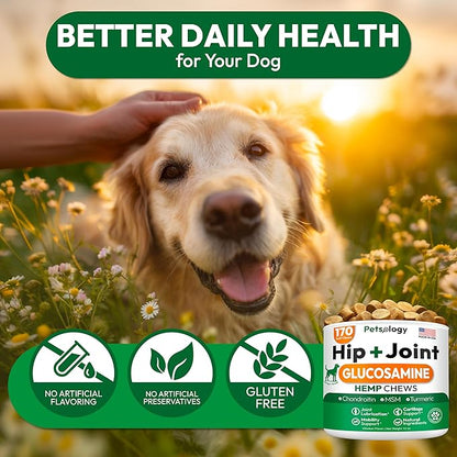 Hemp Hip and Joint Supplement for Dogs - Glucosamine for Dogs - 170 Mobility Support Chews - Advanced Joint Pain Relief Treats with Chondroitin, MSM, Turmeric - Large & Small Breeds - Made in USA