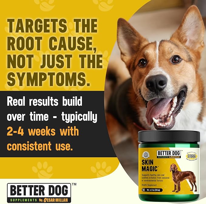 Better Dog Supplements Skin Magic by Cesar Millan – Natural Skin and Coat Supplement for Dogs Irritation from Seasonal Factors, Hot Spots, & Itch Relief Dog Skin Supplement – 4oz (60-Day Supply)