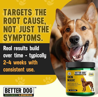 Better Dog Supplements Skin Magic by Cesar Millan – Natural Skin and Coat Supplement for Dogs Irritation from Seasonal Factors, Hot Spots, & Itch Relief Dog Skin Supplement – 4oz (60-Day Supply)