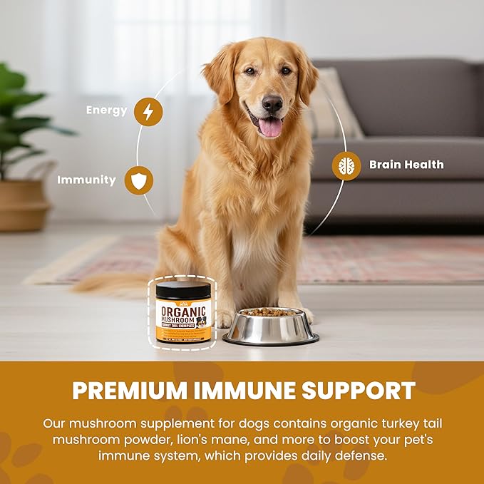 Mushroom Supplement Powder for Dogs (90g) Organic Mushroom Complex with Turkey Tail and Lions Mane for Dogs - Immune Support, Brain Health and Digestion - Third Party Tested, Non-GMO and Made in USA