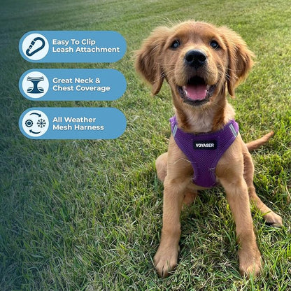 Best Pet Supplies Voyager Step-in Air All Weather Mesh Harness and Reflective Dog 5ft Leash Combo with Neoprene Handle, for Small, Medium and Large Breed Puppies - Set (Purple), Small