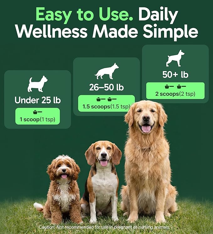 K9 Immune, All-Natural Mushroom Powder for Dogs for Immunity, Digestion, Joints, & Energy, Antioxidant-Rich & USA-Made, Dog Immune Support with Turkey Tail Mushroom for Dogs, 30 Servings
