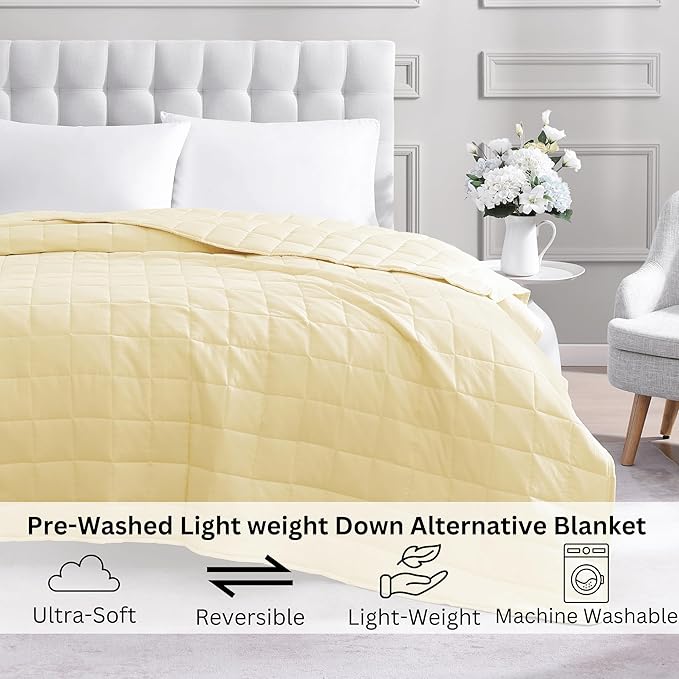 Casa Platino Bed Blanket Twin Size - Pre-Washed Quilted Blanket - All Season Twin Bedding- Premium Microfiber Down Alternative Bedding Twin Size - Vanilla