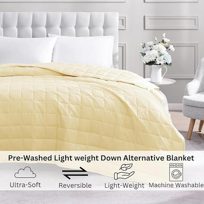 Casa Platino Bed Blanket Twin Size - Pre-Washed Quilted Blanket - All Season Twin Bedding- Premium Microfiber Down Alternative Bedding Twin Size - Vanilla