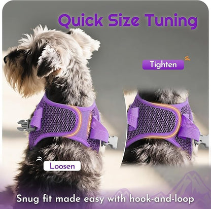 Eagloo Small Dog Harness and Leash Set, Step in Puppy Vest with Breathable Soft Mesh, Walking Reflective Pet Harness for Small Dogs, Purple, XS
