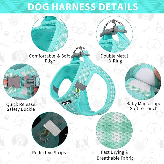 AIITLE Easy Walk Dog Vest Harness and Leash Set, Pet Supply No Pull, Breathable Mesh, Reflective Stripes, Adjustable Escape Proof Pet Outdoor Harnesses for Medium Dogs Turquoise L