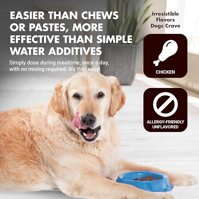 Immune Support for Dogs – Antioxidant Protection & Gut Health – Inulin, Beta-Glucan & Omega-3s / Fish Oil & More! - Made for Picky Eaters