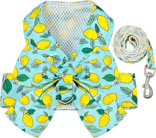BAEJMJK Dog Harness and Leash Set with Bow Knot No Pull Pet Daisy Floral Harness with D-Ring Soft Mesh Dog Harness Vest Set Escape Proof Princess Puppy Harness for Small Girl Dogs Cats（Green M）