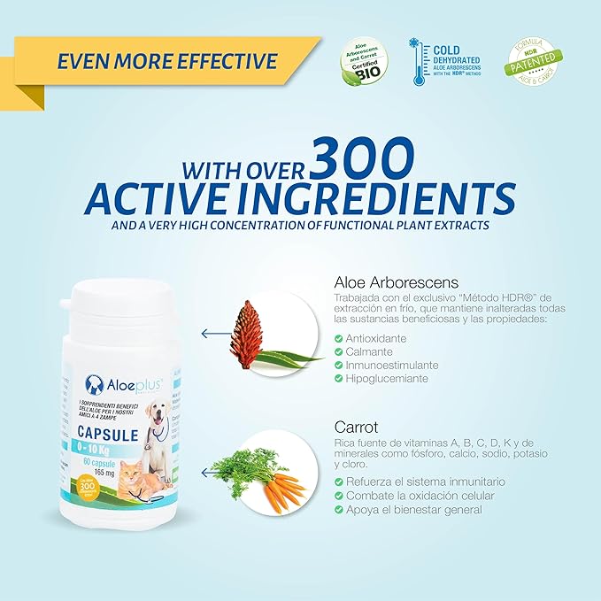 Cats & Dogs Capsules—an Energetic, detoxifying Supplement with Organic Aloe Arborescens. Supports Immunity for Puppies, Adult and Senior Pets, Helps Improve Appetite. 60 Capsules