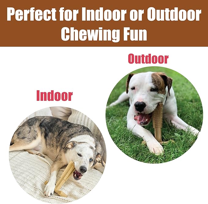 SPOT Bam-Bones Plus Coffee Wood T-Bone Dog Chew Toy, Chicken Flavor, Nylon and Coffee Wood Fiber Blend, Durable Chew for Heavy Chewers and Dogs Under 90 lbs, Non-Splintering Dental Chew, 7 Inch