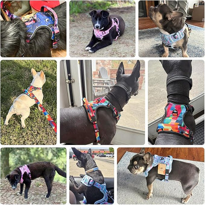 BEAUTYZOO No Pull Dog Harness Small, Adjustable Dog Harness and Leash Set -Easy Wearing with 3 Buckles/Control Handle,No Choke Soft Padded Reflective Pet Vest for Training Walking Hiking,Blue S