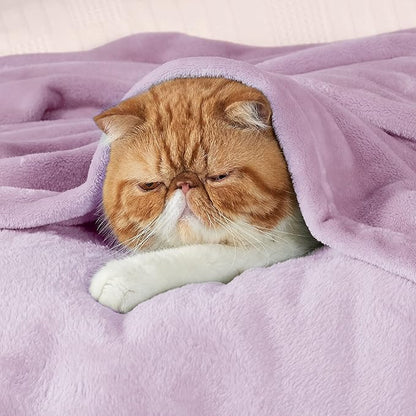 Bedsure GentleSoft Fleece Blanket Twin Size Lilac - 300GSM Lightweight Plush Fuzzy Cozy Soft Warm Blanket for Bed, Sofa, Couch, Travel, Camping, 60x80 inches