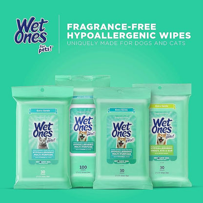 Wet Ones for Pets Extra Gentle Dog Wipes with Witch Hazel for Snout, Eye, Ear - Fragrance-Free Wipes with Wet Lock Seal, 30 Count (Pack of 2)