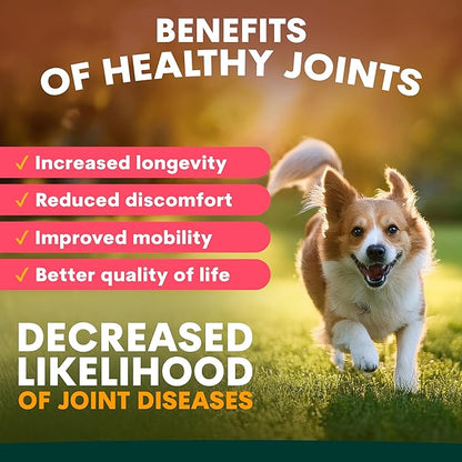Petz Park Hip + Joint for Dogs 90 Scoops, Glucosamine for Dogs with Chondroitin and MSM, Dog Hip and Joint Supplement for Mobility Support, Dog Food Topper Powder for Joint Health and Flexibility