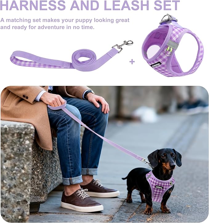 AIITLE Small Dog Harness with Leash – Soft Breathable Mesh, Plaid Pattern & Reflective Strips – Ideal for Training, Running & Party Outings (S, Purple)