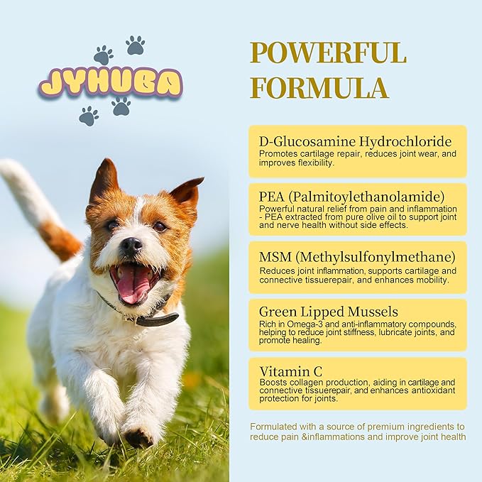 Pet Pain Relief for Dogs & Cats – Natural Joint Supplement with Pea, Glucosamine, MSM, Green Lipped Mussels – Promotes Mobility, Reduces Inflammation & Pain – Made in USA 2.5oz (72g)