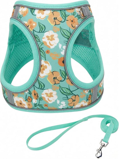 S Floral Green Pattern Dog Harness and Leash Set,No Escape Harnesses for Training Walking，Breathable Adjustable Puppy Vest for Small Medium Dogs, Cats (Turquoise, S)