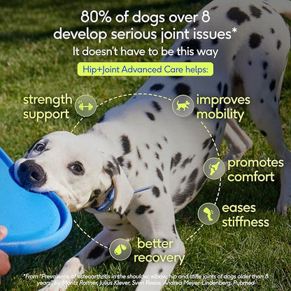 Native Pet Hip & Joint Advanced Care Dog Joint Supplement Powder for Mobility & Movement Support, Joint Supplement for Dogs with HMB, UC-II Collagen, Green Lipped Mussel & Hyaluronic Acid-120 Scoops