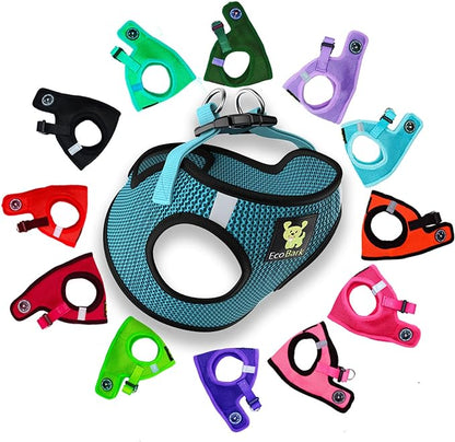 EcoBark Step in Dog Harness - Reflective Soft Luxurious Mesh Dog Harnesses for XXS, XS, Small, and Medium Dogs - Eco-Friendly Comfort Secure Halter No Pull Adjustable Pet Vest (Aqua Sport, XXXS)