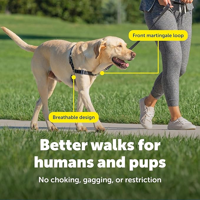 PetSafe Easy Walk Harness for Dogs - Pull-Free Walks - Patented Martingale Loop Design - Front Chest Leash Attachment - Comfort Straps - Breathable Harness Design - Large, Teal/Gray
