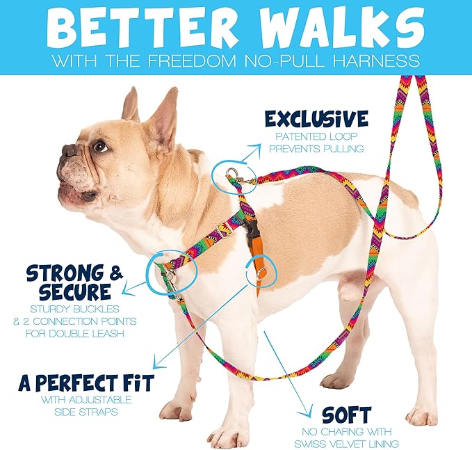 2 Hounds Design Freedom No Pull Dog Harness, Adjustable Harness and Leash Set, Easy Walking & Comfortable Control, Fits Small, Medium & Large Dogs, Solid Colors, Made in USA, 1" LG, Burgundy