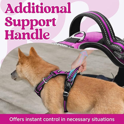 rabbitgoo Dog Harness Small Sized, No Pull Dog Vest with 3 Buckles, Adjustable Soft Padded Pet Harness with Easy Control Handle and Reflective Strips, Purple, S