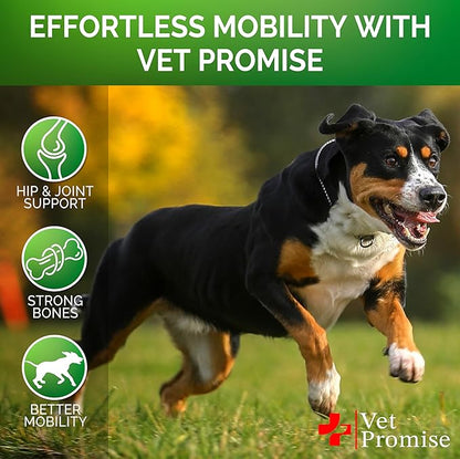 Advanced Glucosamine for Dogs - 170 Chews - Senior Hip and Joint Supplement for Dogs - Glucosamine Chondroitin - Dog Joint Health Pain Relief Pills - MSM - Mobility Support Supplement - Made in USA