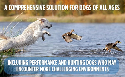 Dog Gut Restore Supplement – Probiotics & Digestive Enzymes for Dogs, Supports Gut Health, Stool Balance & Immune Support – Oral Paste Syringe 60g, Made in USA
