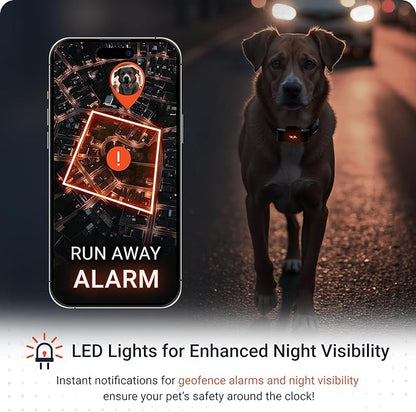 PAJ GPS Dog Tracker - 4G Real-Time Tracking & Runaway Alerts - Waterproof, Long-Range, Smart App Monitor Health & Activity - Fits Any Collar, Mini Device Navigator Chip - Subscription Required - Black