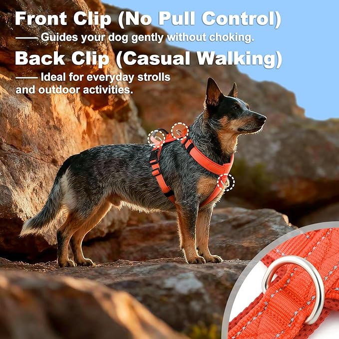 No Pull Dog Harness with Handle, Soft Mesh Padded Adjustable for Small Medium Large Dogs | Reflective Easy Walk Harness with Front Clip for Training, Running & Outdoor (Orange, L)
