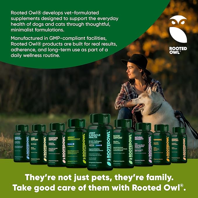 Rooted Owl Liver Support for Dogs - Natural Liver Health Supplement - Milk Thistle for Dogs - Vegetarian Capsules - 60/ct