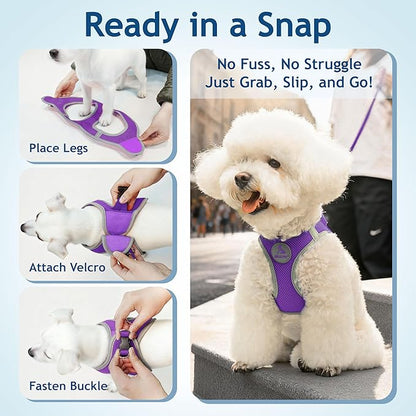 Kruz Dog Harness (Chest 13.5"-14", Weight 4–6 lbs) Athletica Adjustable Heavy Duty No Choke Puppy Vest for Small Dogs Lightweight Air Mesh, Reflective, Puppy Essentials – Amethyst, X-Small