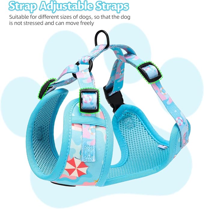 Small Dog Harness and Leash Set of 6, No Pull Soft Lightweight Mesh Puppy Harness， Adjustable Cute Floral Pattern Pet Harness for Small Medium Dogs (Blue Sea, S)