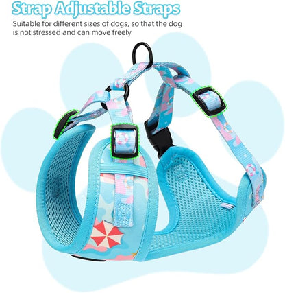 Small Dog Harness and Leash Set of 6, No Pull Soft Lightweight Mesh Puppy Harness， Adjustable Cute Floral Pattern Pet Harness for Small Medium Dogs (Blue Sea, M)